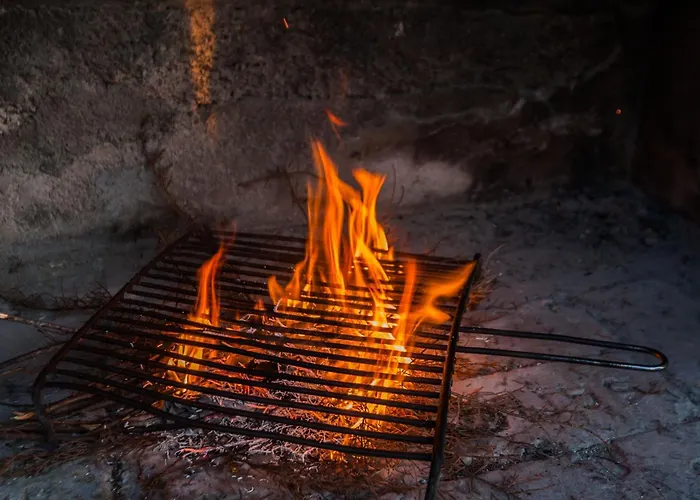 Holiday Flora Vikendica Zadar