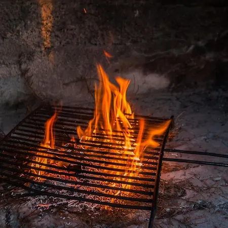 Holiday Flora Holiday home Zadar