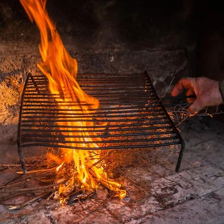 Holiday Flora Holiday home Zadar