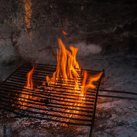 Flora בית נופש