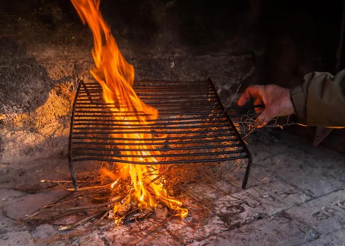 Flora Сasa de vacaciones Zadar